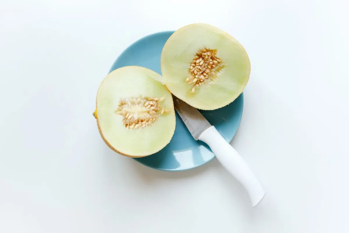 melon plate