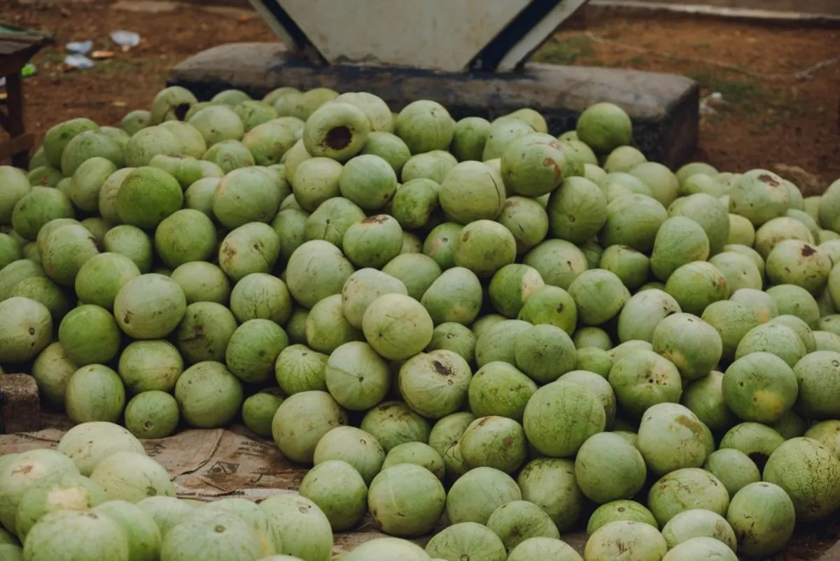 child melon