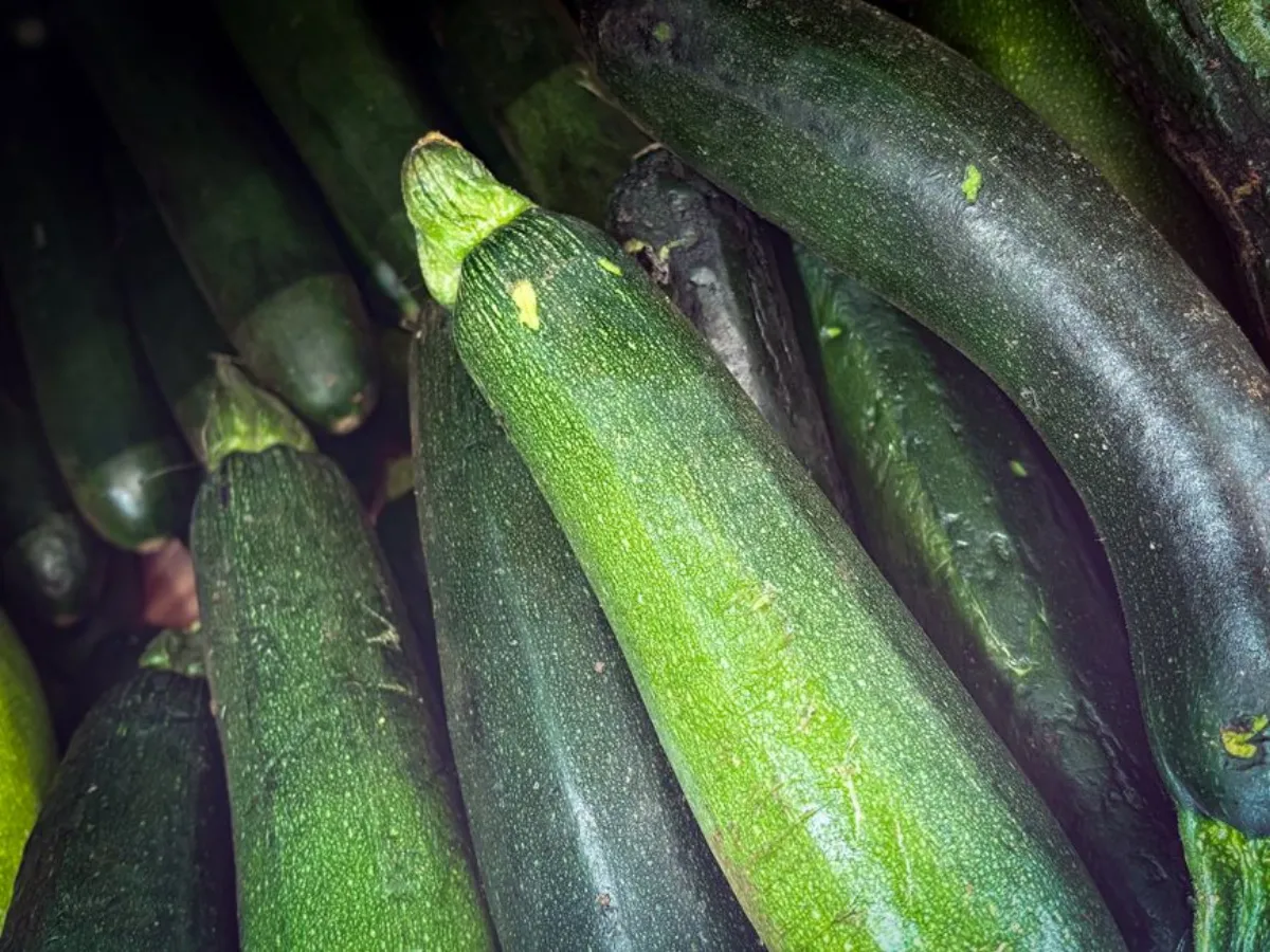 zucchini