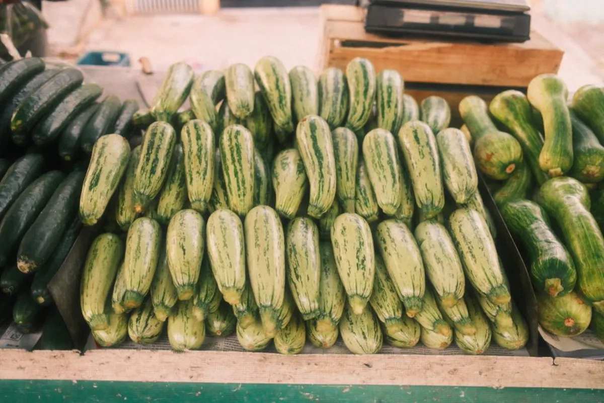 cucumber zucchini