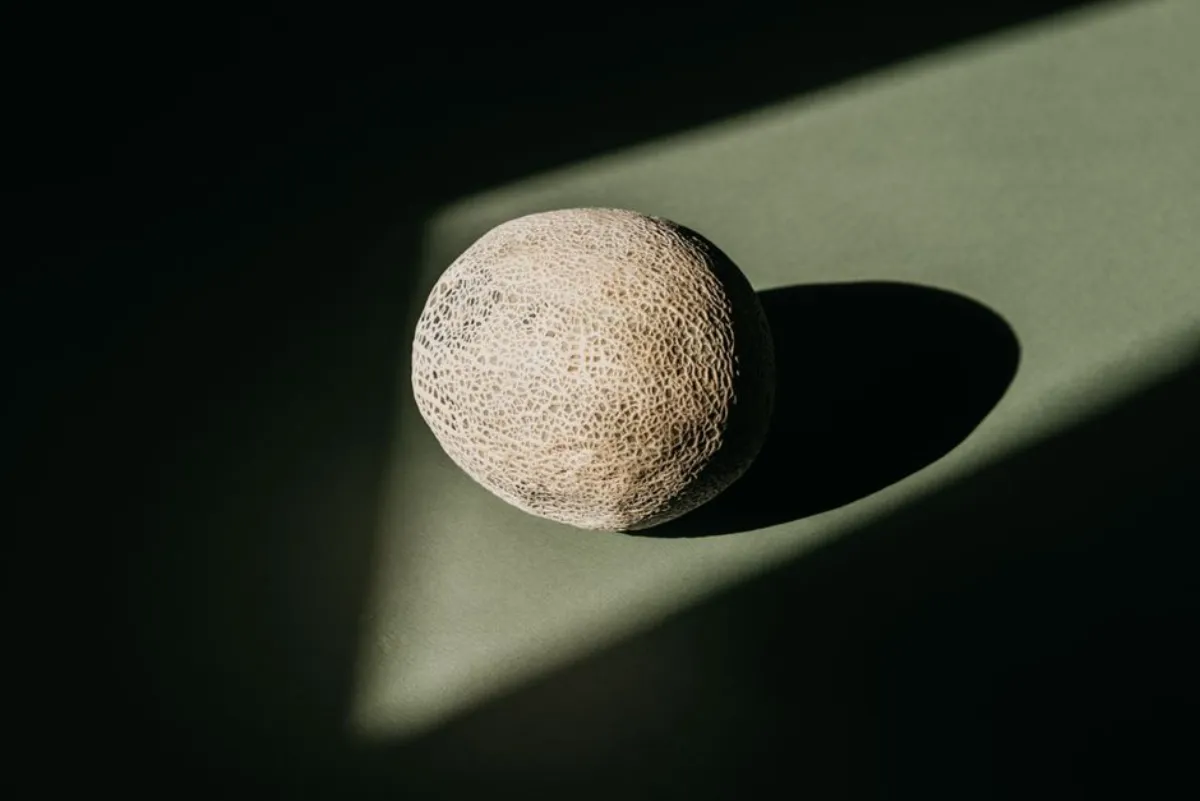cantaloupe mother
